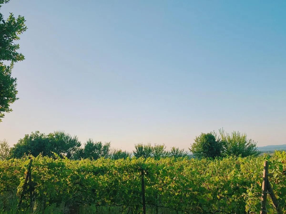CAN BUFÍ - Hotel&Winery 0*, Llagostera